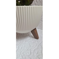 Przepiękna doniczka misa Roma kolor kremowy