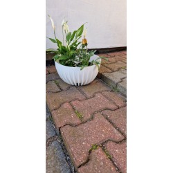 Doniczka misa MIRA kolor biały - 30 cm