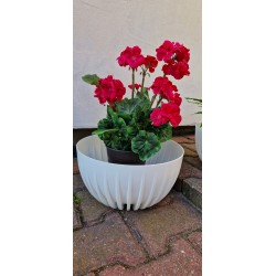 Doniczka misa MIRA kolor biały - 30 cm