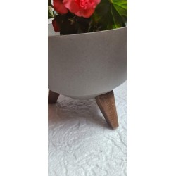 Przepiękna misa Roma kolor szary