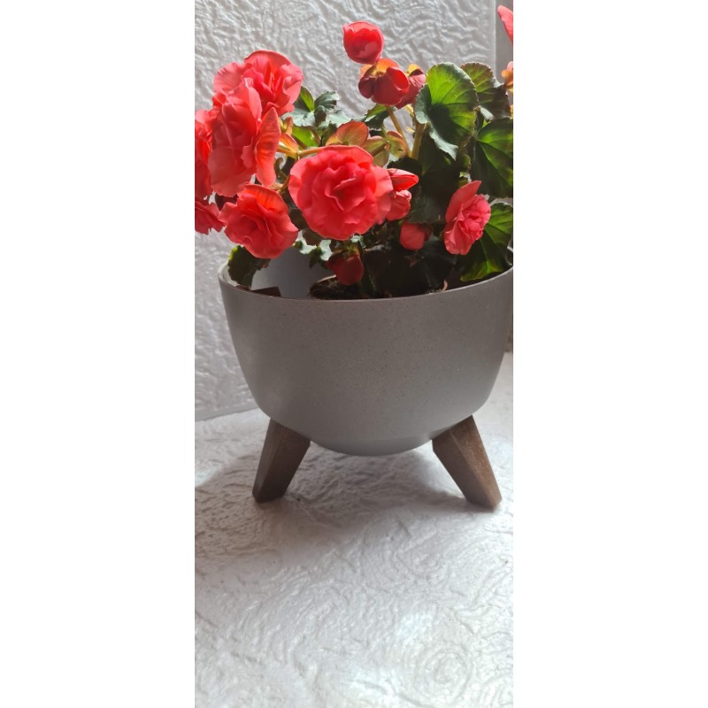 Przepiękna misa Roma kolor szary