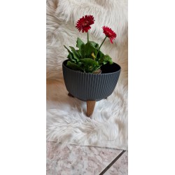 Doniczka misa Roma kolor antracyt