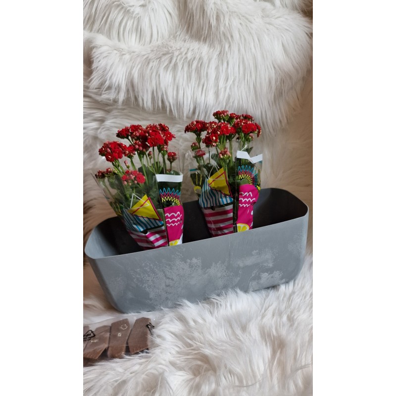 Doniczka osłonka prostokątna  Gracia case beton efect beton 38,5 cm