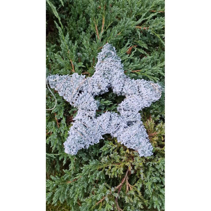 Świecąca dekoracja świąteczna - gwiazda