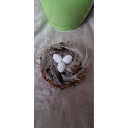 Gniazdko z piórkami i 3 jajka