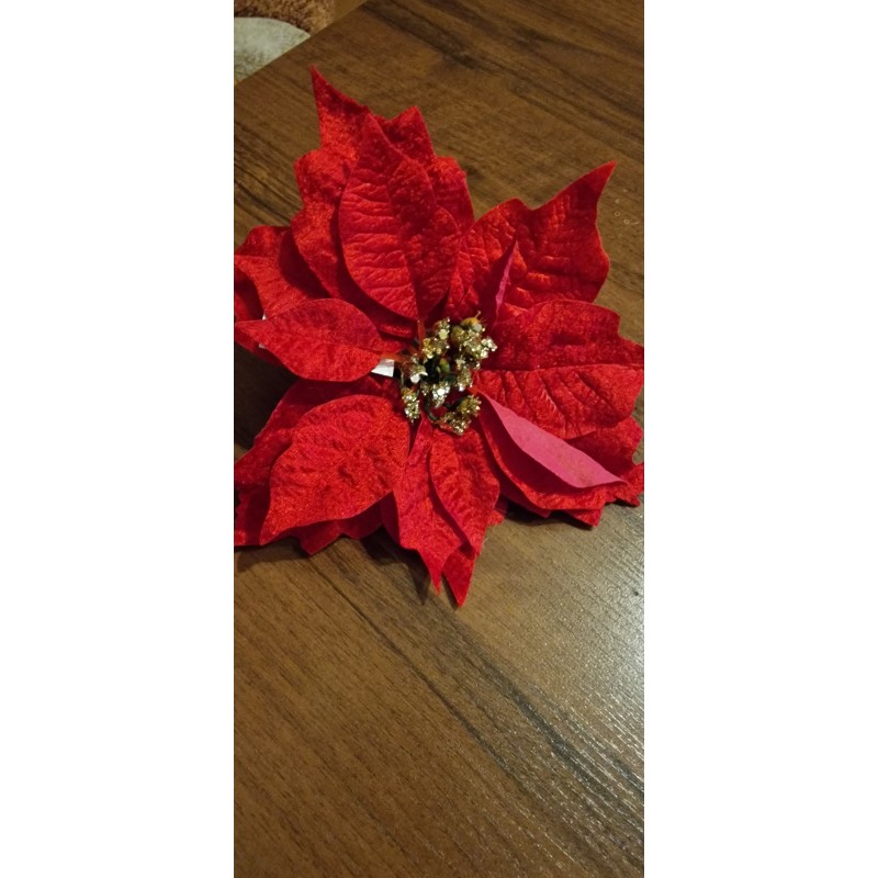 Czerwona welurowa gwiazda betlejemska na klipie średnica około 21 cm.