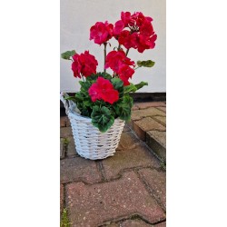 Koszyk wiklinowy, osłonka wiklinowa - kolor biały z uszkami