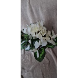 Sztuczny bukiet białych cyklamenów.