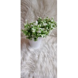 Dodatek zielony, bukiecik zielony bukszpan i gipsówka