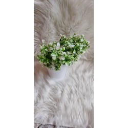 Dodatek zielony, bukiecik zielony bukszpan i gipsówka