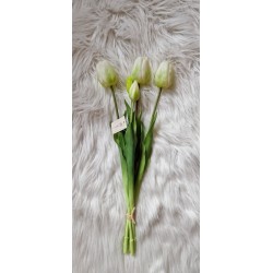 bukiet gumowych tulipanów w białym kolorze