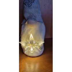 Skrzat z gwiazdą LED