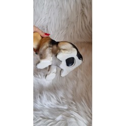 Figurka skarbonka piesek