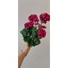 Sztuczny bukiet pelargoni - kolor fuksja