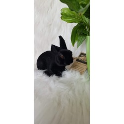 Zając siedzący czarny flokowany 15cm x 12 cm