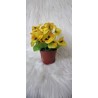 Bratki w doniczce - żółte