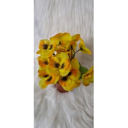 Bratki w doniczce - żółte