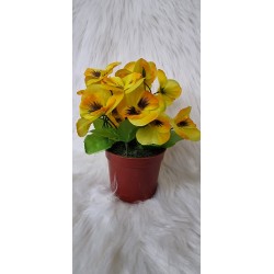 Bratki w doniczce - żółte