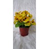 Bratki w doniczce - żółte