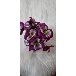 Bratki w doniczce - fioletowe