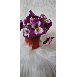 Bratki w doniczce - fioletowe