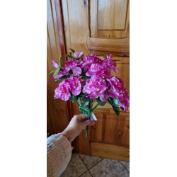 Bukiet - azalia fioletowa