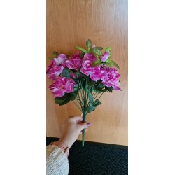 Bukiet - azalia fioletowa