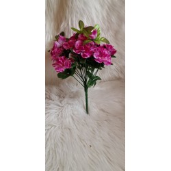 Bukiet - azalia fioletowa
