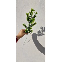 Gałązka sztuczny bukszpan 1 szt